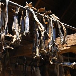 ImageExif object (403)