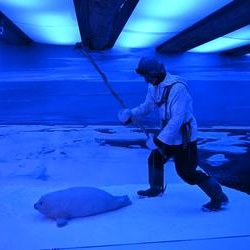 ImageExif object (339)