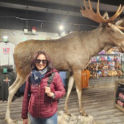 ImageExif object (255)