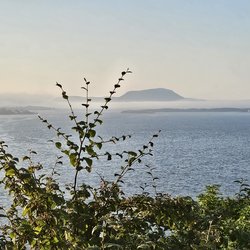 ImageExif object (242)