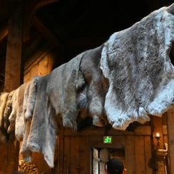 ImageExif object (404)