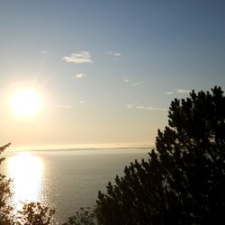 ImageExif object (241)