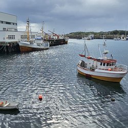 ImageExif object (306)