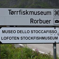 ImageExif object (456)