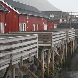 ImageExif object (433)