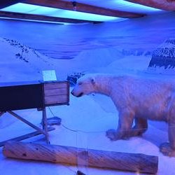 ImageExif object (352)