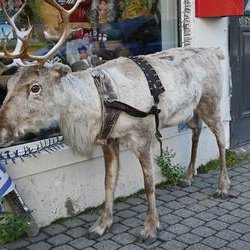 ImageExif object (327)