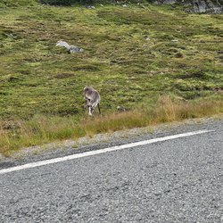 ImageExif object (275)