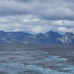 ImageExif object (307)