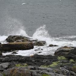 ImageExif object (437)