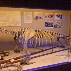 ImageExif object (353)