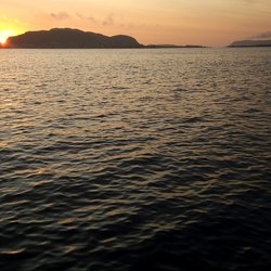 ImageExif object (226)