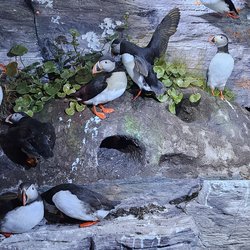 ImageExif object (266)