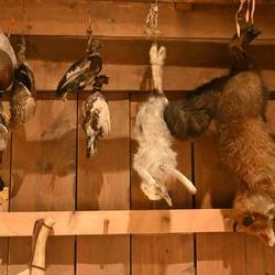 ImageExif object (405)