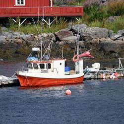 ImageExif object (460)