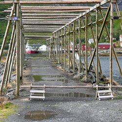 ImageExif object (446)