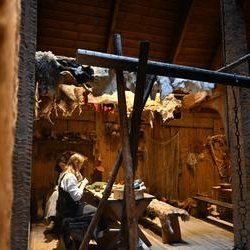 ImageExif object (401)