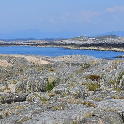 ImageExif object (245)