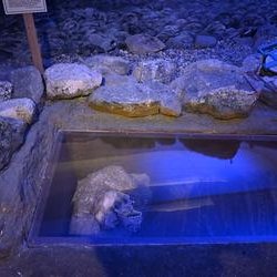 ImageExif object (340)