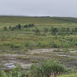 ImageExif object (272)